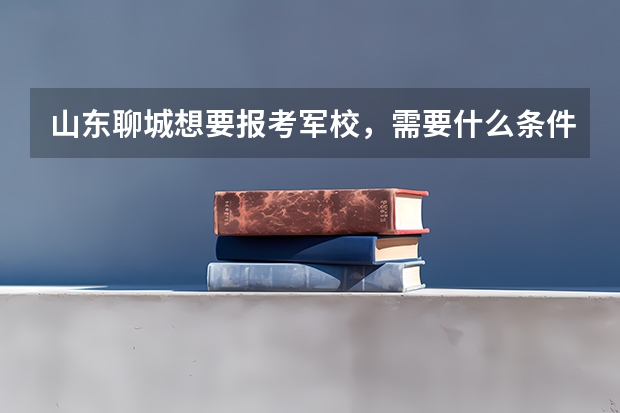 山东聊城想要报考军校，需要什么条件？