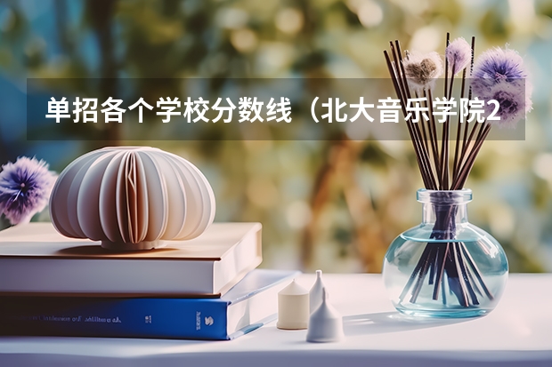 单招各个学校分数线（北大音乐学院2023年录取分数线）