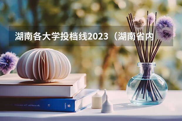 湖南各大学投档线2023（湖南省内专科排名及分数线）