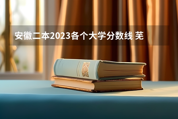 安徽二本2023各个大学分数线 芜湖职业技术学院分数线