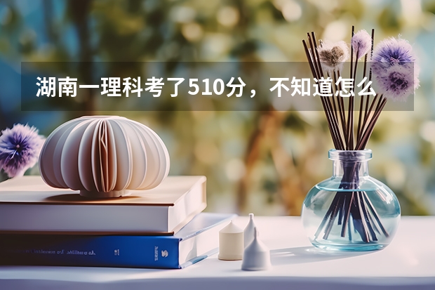 湖南一理科考了510分，不知道怎么填学校
