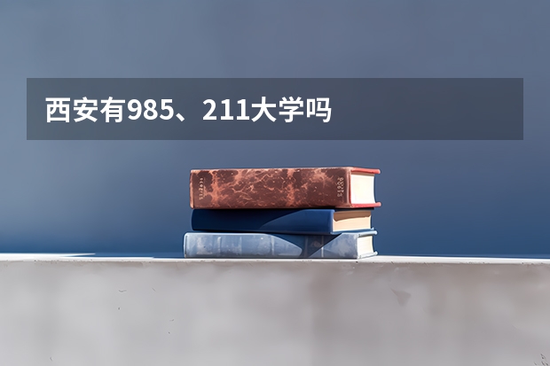 西安有985、211大学吗