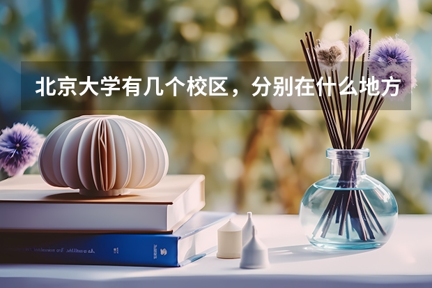 北京大学有几个校区，分别在什么地方？