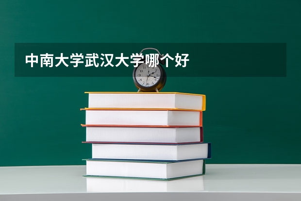 中南大学武汉大学哪个好